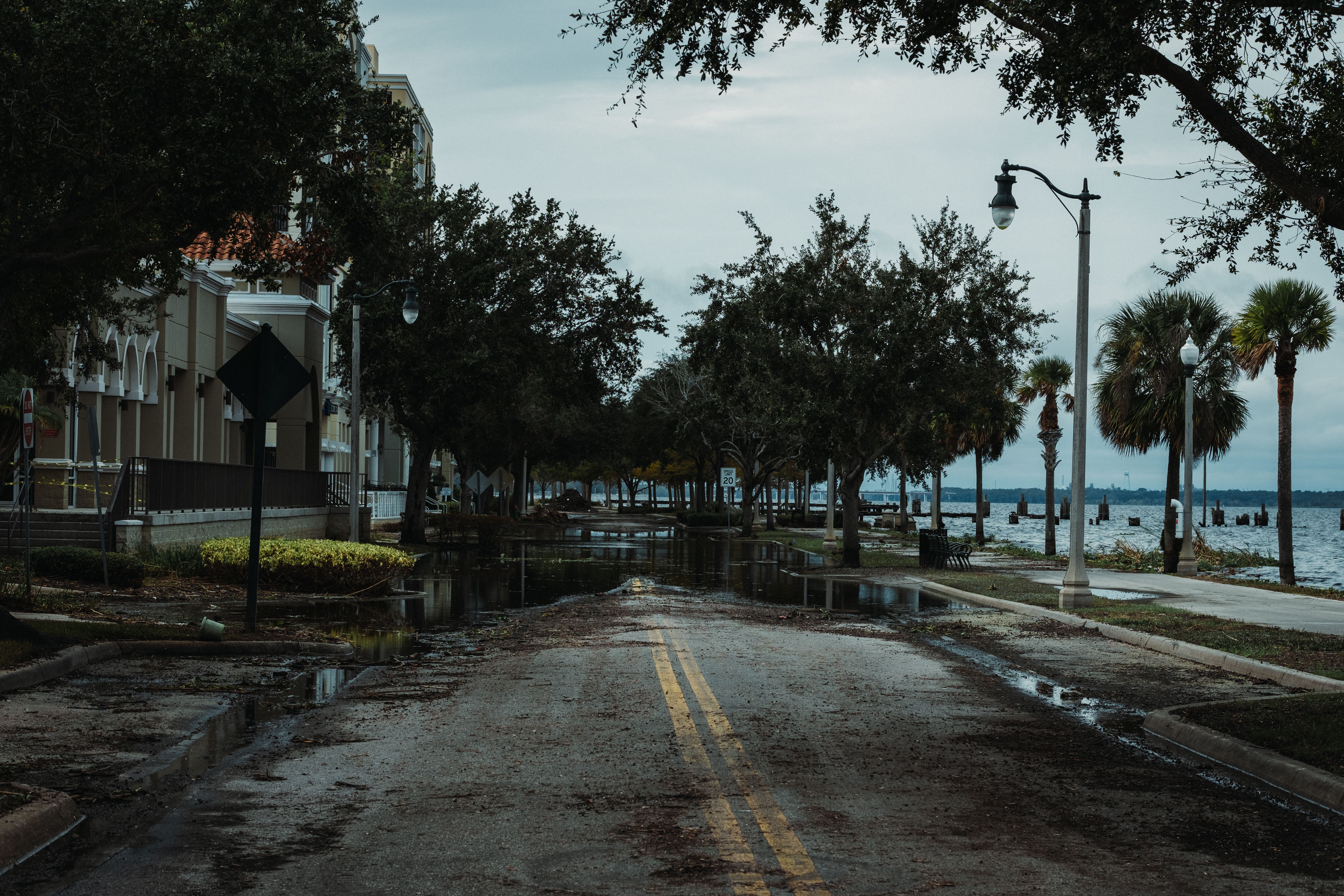 A flooded coastal street lined with trees and streetlights
