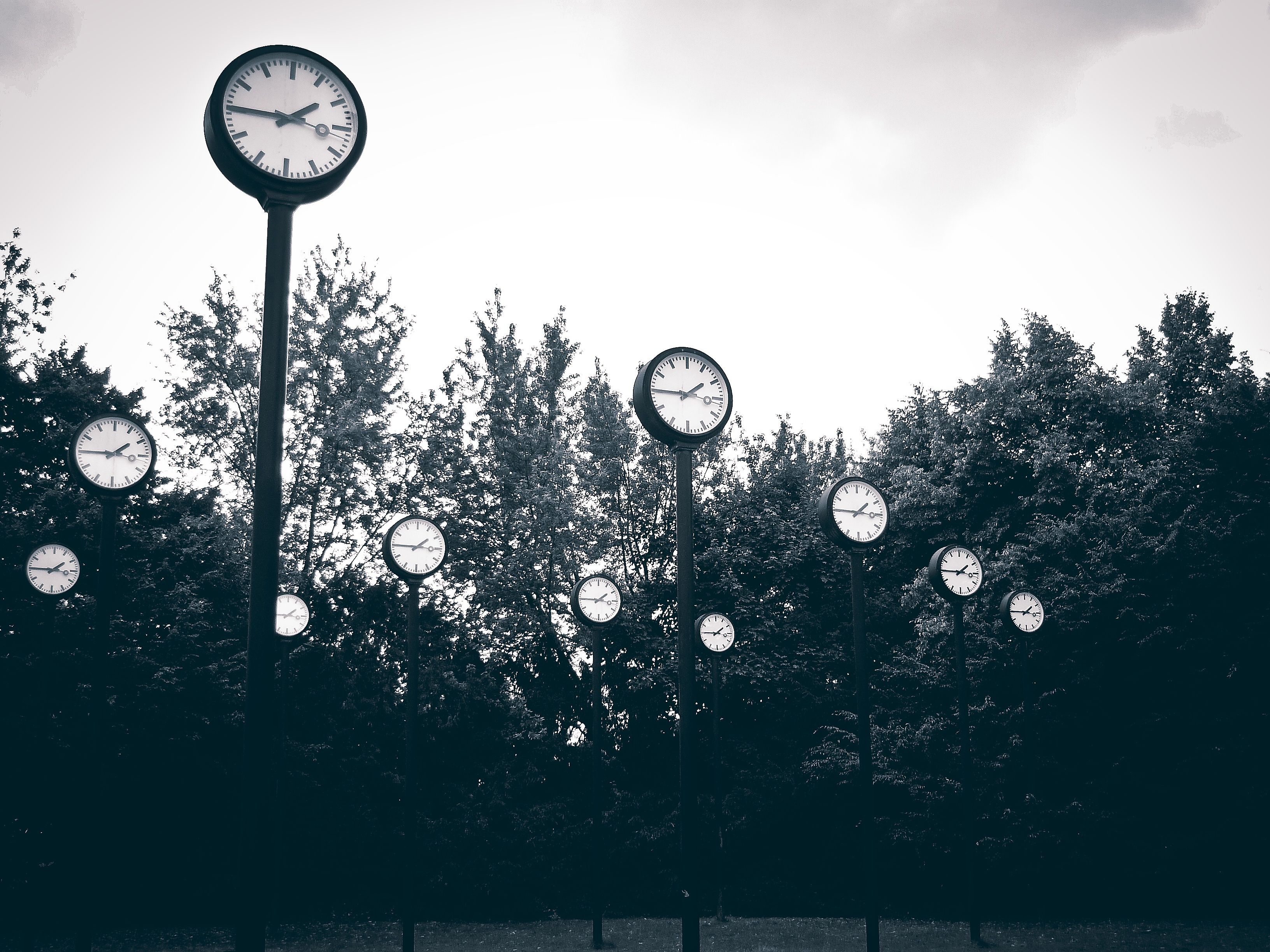 A field of clocks on tall poles against a cloudy sky